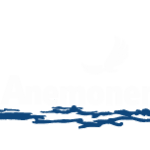 Turbaadenanemonen logo